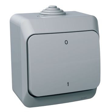 Cedar Plus, Intrerupator bipolar 16A PT IP44 gri