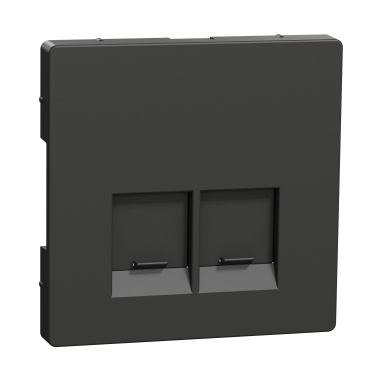 Cover plate, Merten System M, for 2 data socket, anthracite