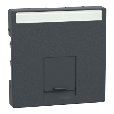 Placa Centrala simpla pentru Conector-Schneider Electric Rj45, Antracit