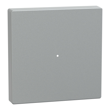 Clapeta pentru Modul cu 1 Buton, Aluminiu, Sistem M