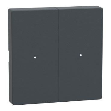 Clapete pentru Modul cu 2 Butoane, Antracit, Sistem M