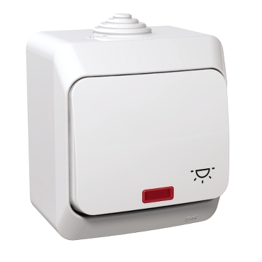 Cedar Plus, Intrerupator cu revenire cu simbol lumina si indicator luminos, 16A, alb