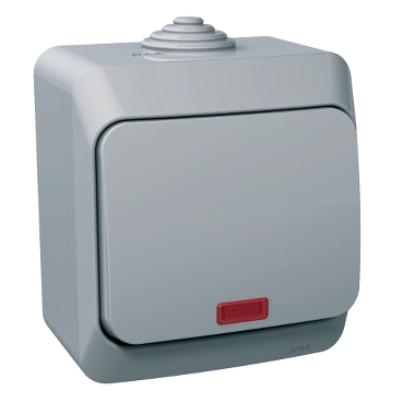 Cedar Plus, Intrerupator simplu cu indicator luminos, 16A, gri